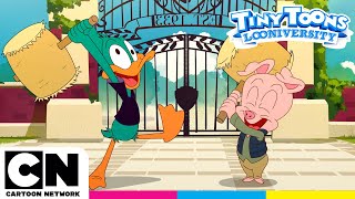 Sosuzioni Tiny Toons Looniversity Cartoon Network Italia