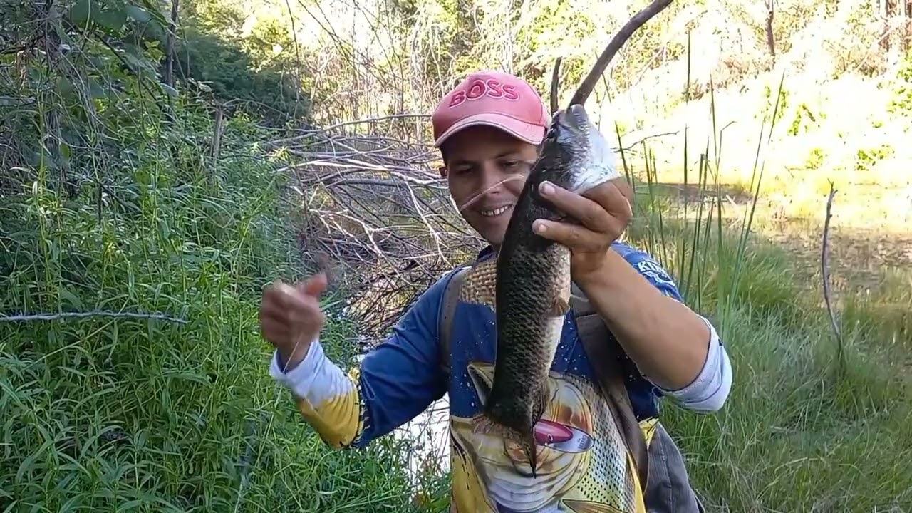 Lugar infestado de traira, pescaria caipira