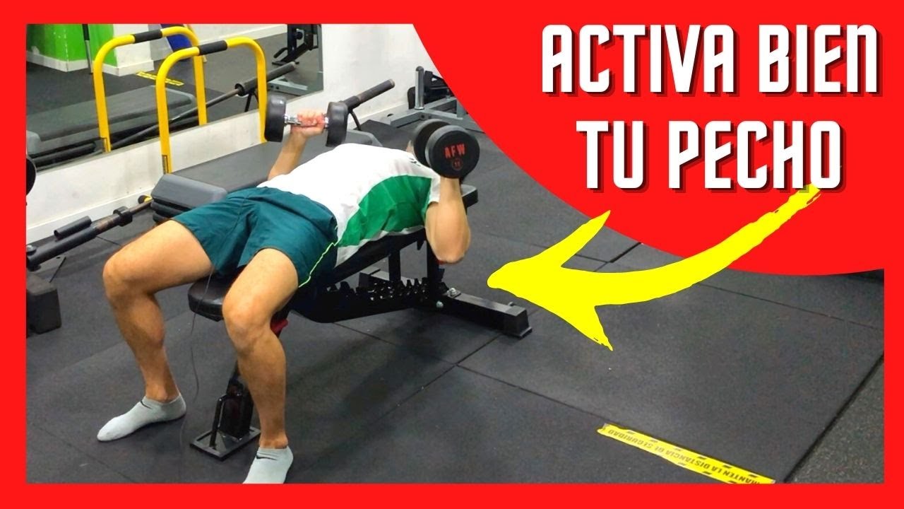 PRESS de PECHO con MANCUERNAS 🏋️‍♀️ en BANCO PLANO y Horizontal