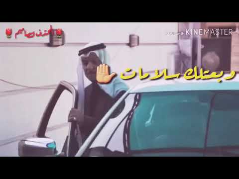 اجمل حالت واتس اب اليأس خضر سلامات