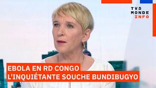 Ebola : ni traitement, ni vaccin, l'inquiétante souche Bundibugyo