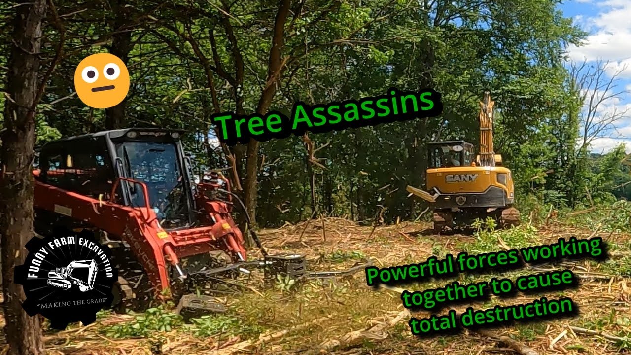 Sany excavator, Takeuchi skid steer ripping trees out and chopping them ...