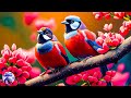 Relaxing Piano Music with Sounds of Nature 🌿 Stress Relief Music, Sleep Music, Meditation