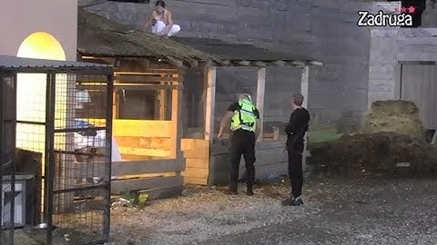INCIDENT NA IMANJU: Dok je spasavao Draganu, radnik iz obezbeđenja se povredio!