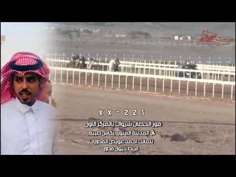 مربط خيول مطير من سبقاته لعام 1441ه