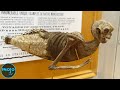 30 Most Infamous Hoaxes