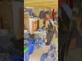 Fishermen Caught Hunting Seagulls In Qatar