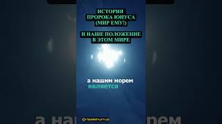 НАШЕ ПОЛОЖЕНИЕ В #ДУНЬЯ |  #рисалеинур #risaleinur #пророкЮнус #пророкИова #ислам #дуа #человечество