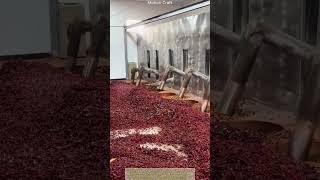 Inside a Massive Chinese Chili Powder Factory! 🌶️