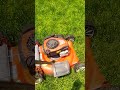 snake in the grass