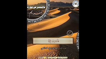 سورة مريم بصوت القارئ عبدالعزيز علي محمد الشحي #المسجد_الحرام #اكسبلور #المصحف #قرآن #حالات_واتس