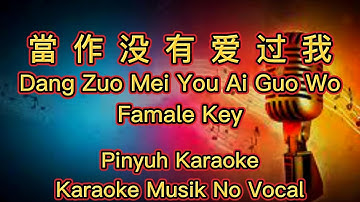 當作没有爱过我 (( Dang Zuo Mei You Ai Guo Wo )) - Karaoke - Musik