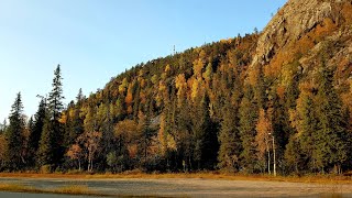 Ruska / Autumn in Ruka Finland 2020