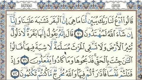 #اتقان_تلاوة_القرآنِ صفحة( 11) من سورة البقرة ،، الشيخ دريد إبراهيم الموصلي حفظه الله ،، شارك غيرك