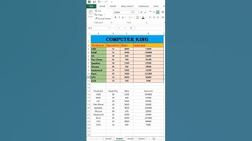 Format painter | how to use format painter in excel #computerking #excel