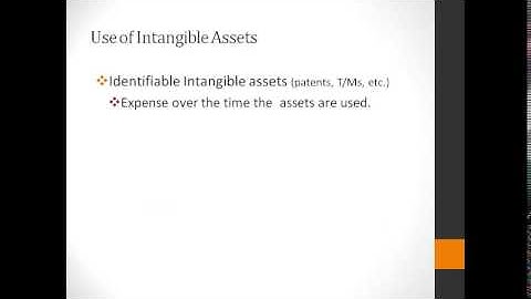 INT13 Long Term Assets   Overview