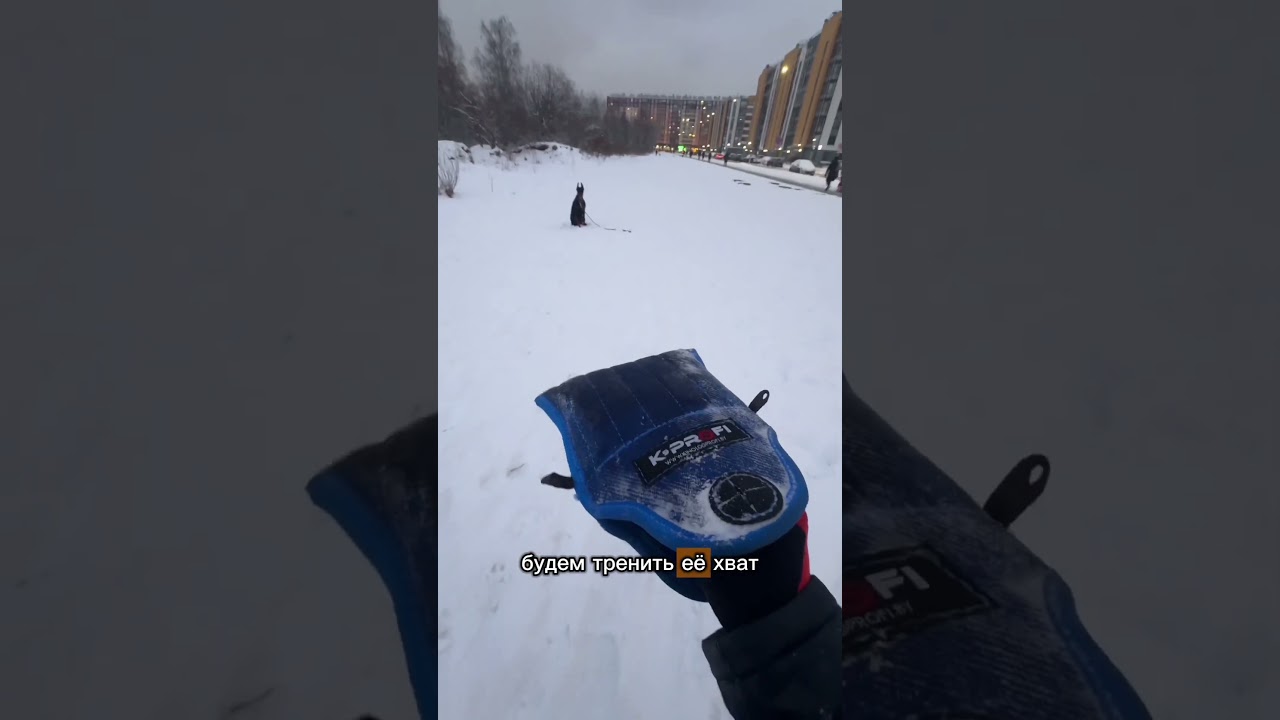 Опасная ⛔️ собака …