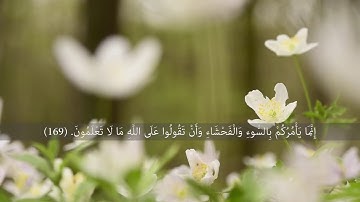 القرآن الكريم | سورة البقرة | من الأية ١٦٨ الى الأية ١٦٩ | بصوت القارئ الشيخ هيثم الدخين