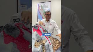 🤔🌋 What does a #volcano look like inside? The IGP shows you! 🤔🌋 What does a #volcano look like inside? The IGP shows you!