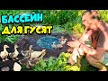 СДЕЛАЛ БАССЕЙН ДЛЯ ГУСЕЙ