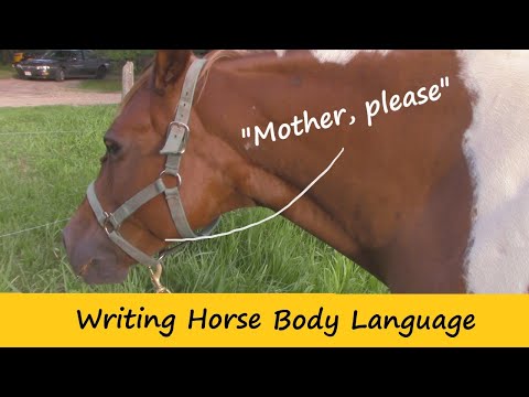Video: Mouse horse description