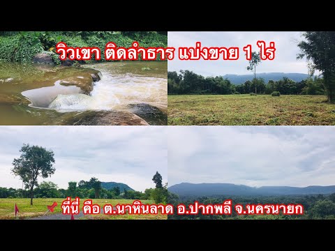 แบ่งขาย 1 ไร่ วิวเขาติดลำธาร @ปากพลี #ที่ดินวิวเขา #ที่ดินปากพลี #ที่ดินติดน้ำ