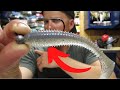 GAME CHANGING Keitech Swimbait Technique (Don't Get Left Behind!)