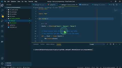 Learn Go Programming   05 Blank identifiers and Constant