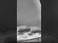 Fools #emergency #extinction #humanskin #harvest @DudeLovesSpace ​@MrMBB333 #news