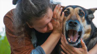 Don't Ever Do This To Your Dog by The Daily Topic 337 views 1 year ago 8 minutes, 7 seconds