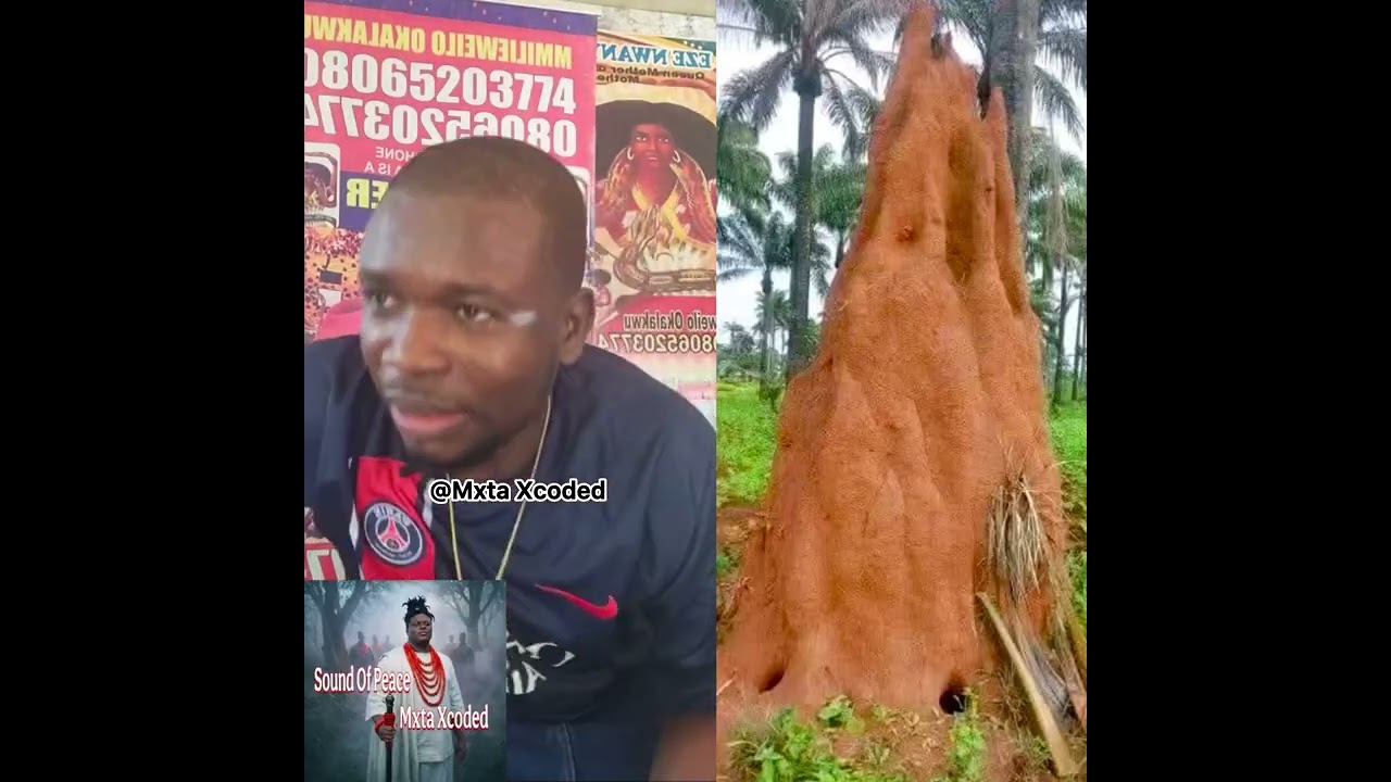 У нас есть два типа Дибиа (Оке и Нвунье) Номер 1 (Оке)