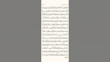 سوره الانبياء القارئ ماجد العقل من الأصفر حتى الأخضر