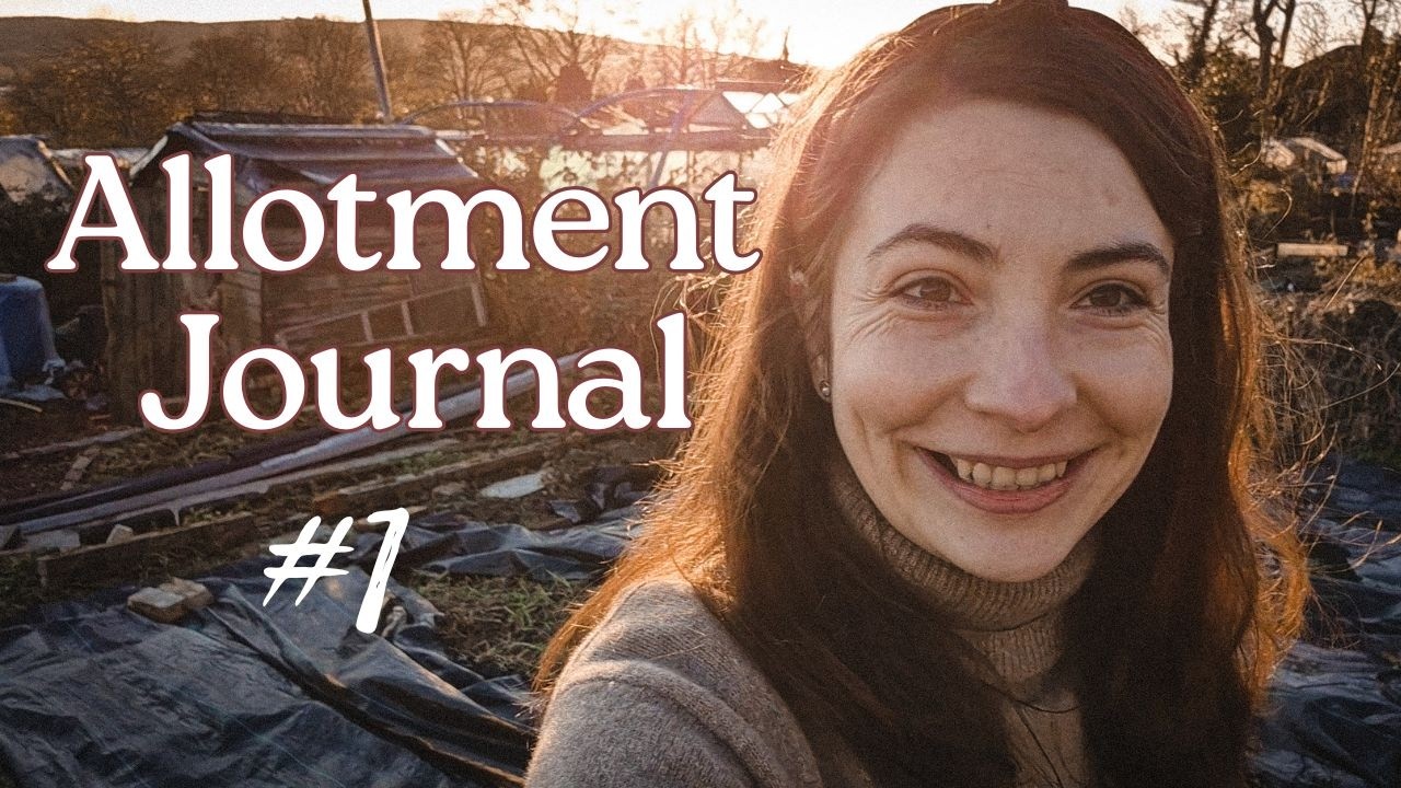 Too Big a Bite? Taking On a Problem Allotment Plot | Ep.1