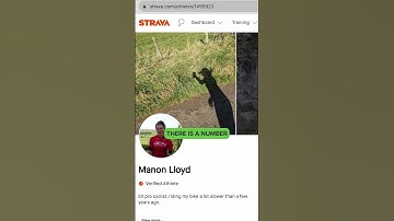When did you join Strava? 👀🔍