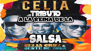 Miniatura del video "GENTE DE ZONA HACE COLABORACIÓN CON CELIA CRUZ Y ALEXANDER SE CAE EN PLENA PRESENTACIÓN"