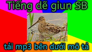 Tiếng dẽ giun SB miễn phí 2