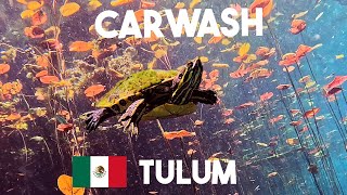 Cenote Carwash, Tulum, Mexico