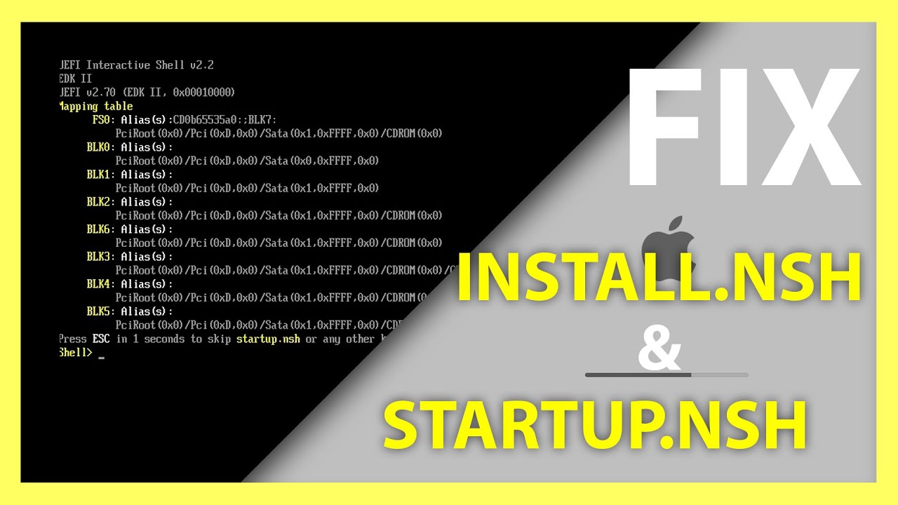 Interactive shell. Shell Startup. Startup.NSH. Press ESC in 1 second to skip start. NSH, any other Key to continue.