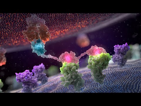 LabGenius immune cell engager lead optimization platform