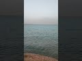 حتى استاذ سالم ال منصور يضحك علينه سالم اللهم صل على محمد وال محمد