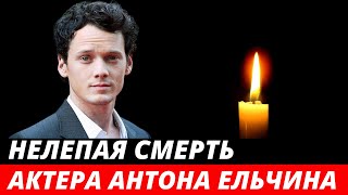 Погиб в 27 лет! Нелепая смерть актера Антона Ельчина