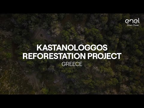 Kastanologgos: a reforestation project in Greece