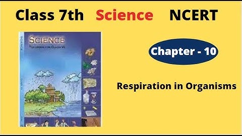 Class 7th Science Chapter 10 |Respiration in Organisms class 7 | Science NCERT Class 7 Ch 10 |