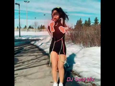 Hamed Pahlan Padeshahe Tehroon DJ Said Mix حامد پهلان پادشاه تهرون دیجی سعید میکس