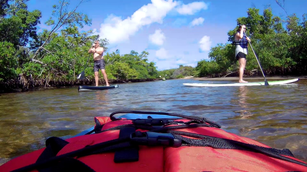 camera iphone 8 plus apk Paddleboarding on Whiskey Creek in Dania Beach- Where to Paddleboard Kayak in Ft. Lauderdale, FL?