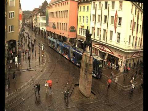 Wette Freiburg Wette Freiburg