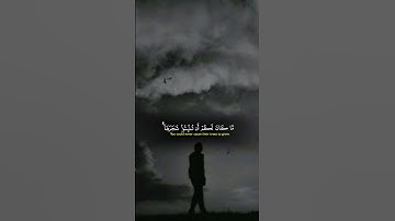 الشيخ ياسر الدوسري تلاوة القرآن الكريم
