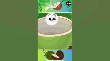 Nước dừa hình thành bên trong quả dừa như thế nào? #shorts #coconut