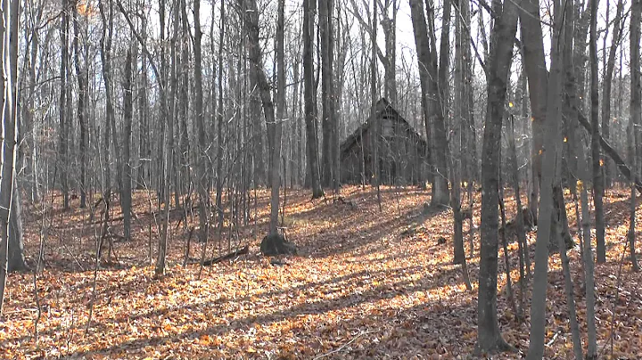 Late Fall into Early Winter in Mont Saint Hilaire