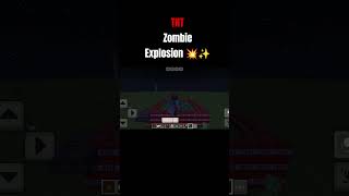TNT zombie explosion 💥🧨 #minecraft #gaming #viralvideo #gamingcommunity 👍✨😎